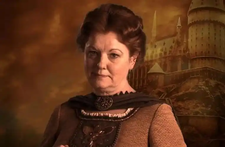 哈利波特霍格沃茨四大学院创始人当年可能教什么课程呢