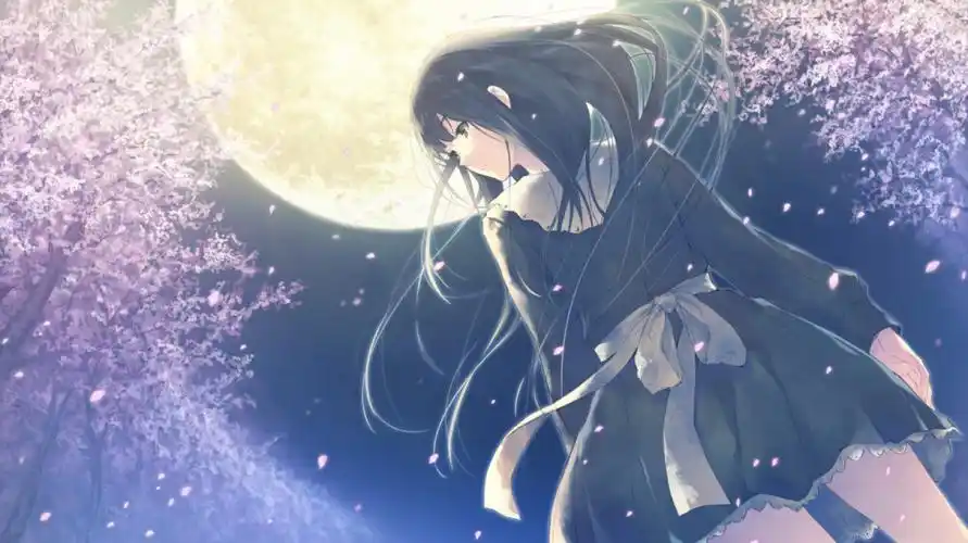 flowers冬自截抱图注明哈