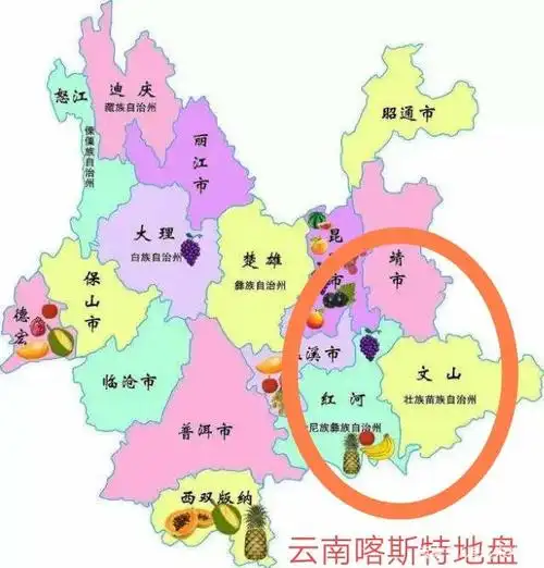 喀斯特集中连片的就云南,贵州和广西