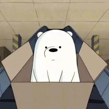 高清可爱白棕熊情头图片,情侣头像图片