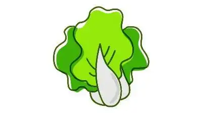 用动画为你展示大白菜简笔画的画法