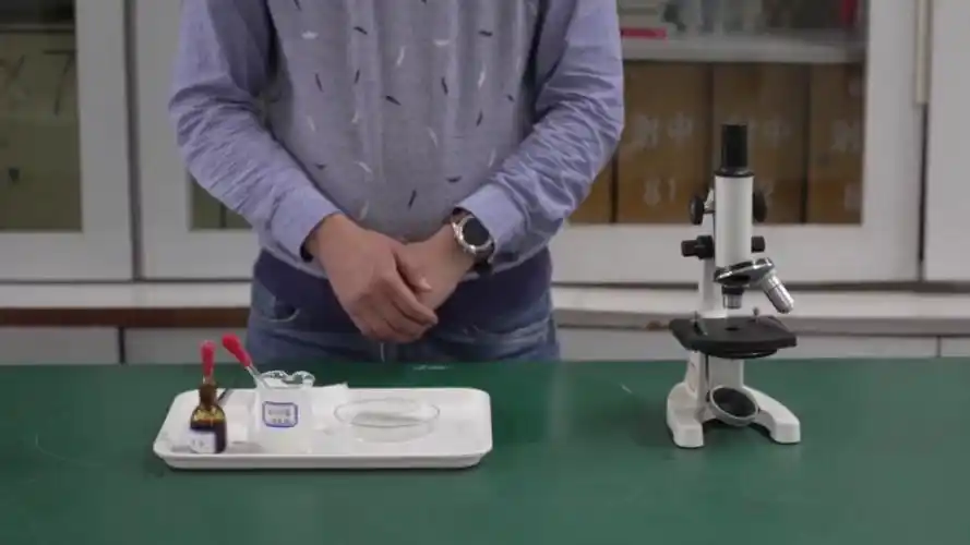 中考生物实验操作【观察酵母菌出芽生殖】