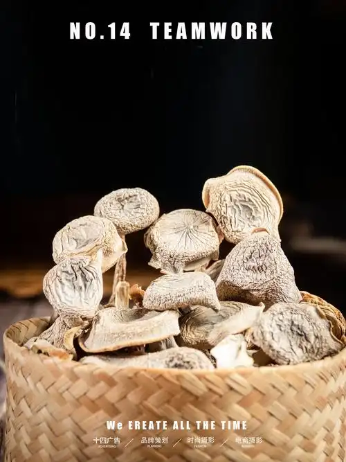 美食摄影全年可食用干菌系列70鹿茸菇