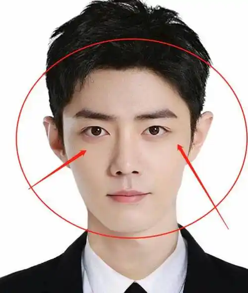 内娱明星证件照,肖战最标准,景甜眉毛出戏,baby的偶像包袱好重_感觉