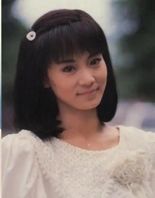 刘雪华曾是琼瑶小说改编剧集的御用女主角,有「琼瑶女神」之称,年轻时