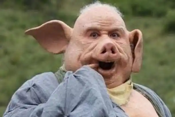 日本培育17头"半人半猪",猪外观人的内脏,目的令人不寒而栗