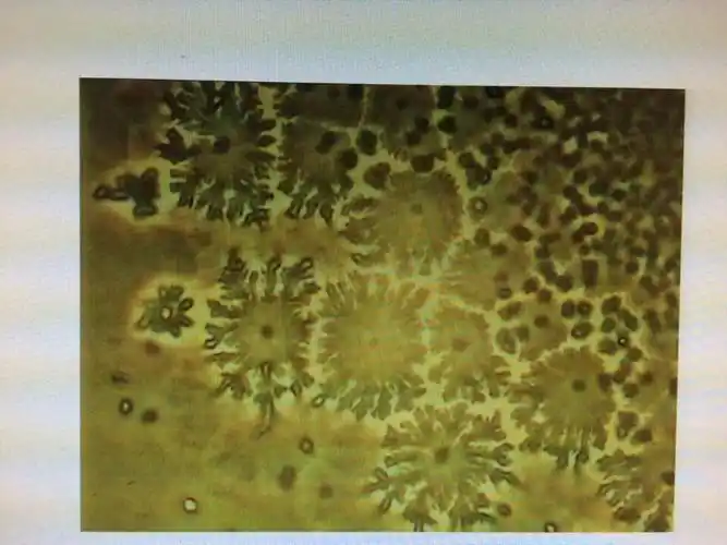 羊齿状结晶系外形像羊齿植物叶子形状的结晶体,早年(80年代)用于预测