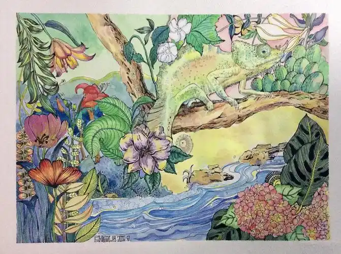 我爱【热带雨林】系列之一