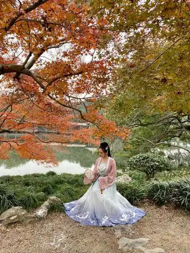 杭州西湖:花港观鱼