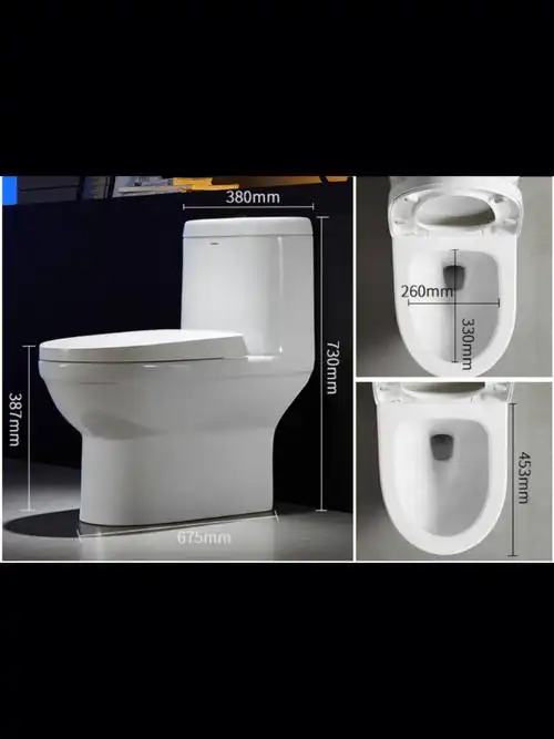 求推荐墙排的马桶