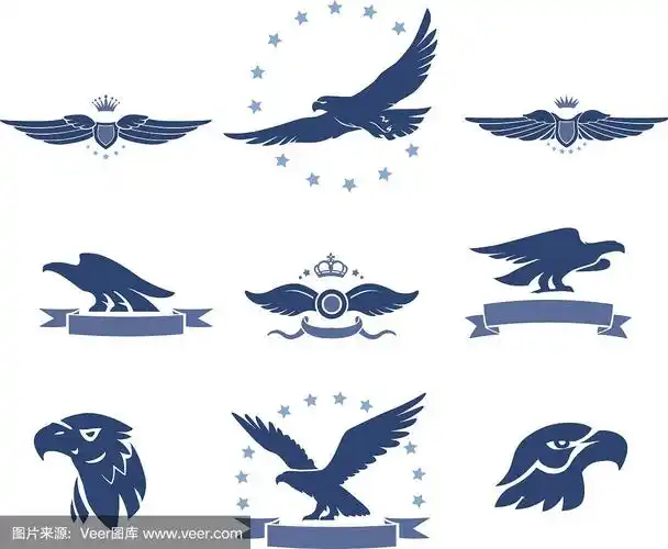 鹰,张开翅膀,轮廓,自然,背景分离