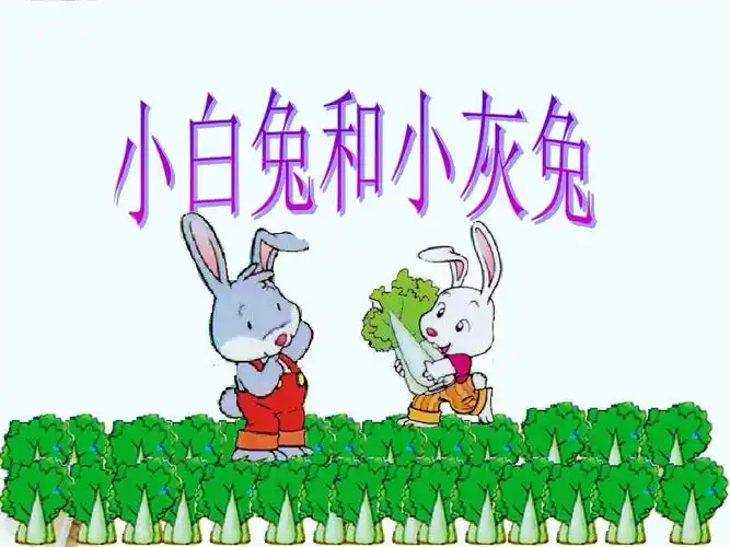 《小白兔和小灰兔》课件2-优质公开课-鲁教一下精品ppt