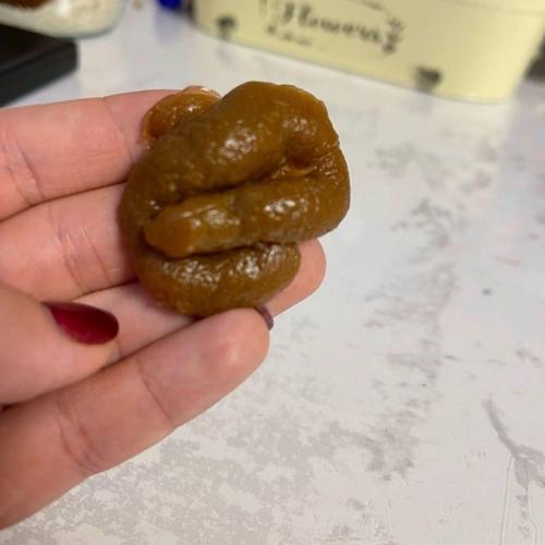 整蛊整人假便发泄大便仿真软便便恶心搞怪沙雕恶搞礼物假粑粑玩具