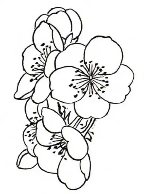 最新桃花的简笔画国画桃花的画法步骤