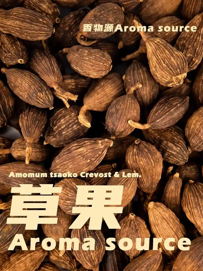 关于草果.介绍一款香料草果  香料草果滇南草果也叫香果,豆蔻 - 抖音