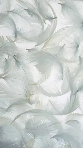 【壁纸分享】炫彩羽毛创意壁纸