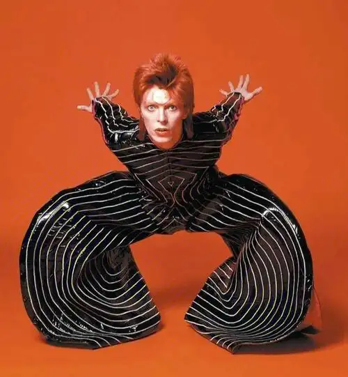 华丽的摇滚变色龙davidbowie