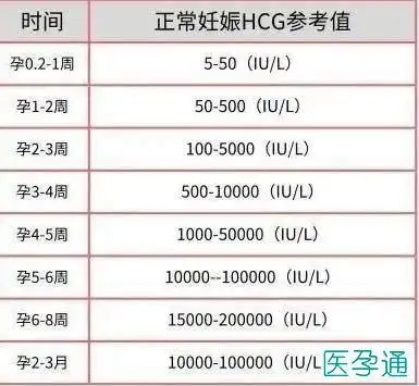 试管婴儿血值高有可能是双胞胎只是概率非常低附hcg正常值表