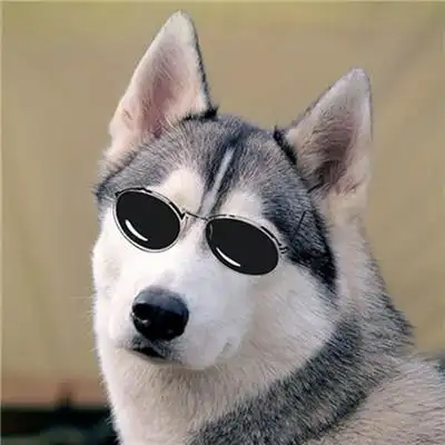 棉被羽绒服太暖和,搭配单衣都不怕冷,气场好大气