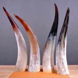 荣淘牛角工艺品大摆件天然办公装饰牦牛角工艺品二需要更大支持需预定