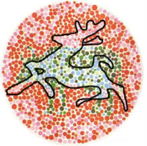 牛鹿图是否可以说明色弱者可以分辨色觉正常者不能分辨的颜色?