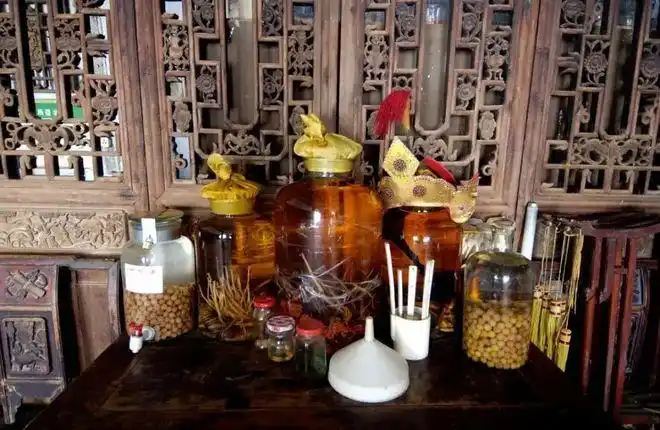 郑州女子误喝曼陀罗药酒中毒曼陀罗究竟是什么花到底有多毒