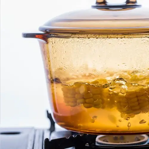 摩登主妇 明火直烧玻璃锅晶彩透明焖烧锅耐高温家用双耳汤锅炖锅