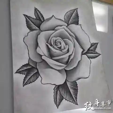 黑灰玫瑰纹身,黑灰玫瑰纹身手稿,黑灰玫瑰纹身手稿图案