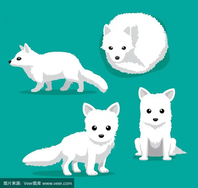 可爱的北极狐卡通矢量插图