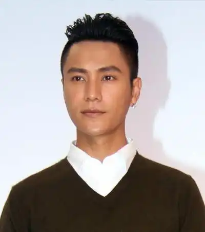 陈坤大背头vs吴彦祖大背头,背头图片,发型图片