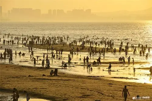 山东烟台,高温天气来袭,金沙滩海滨浴场人流如织,游客在海边戏水纳凉