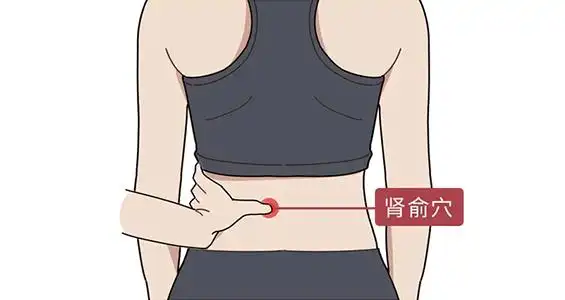 肾俞.jpg