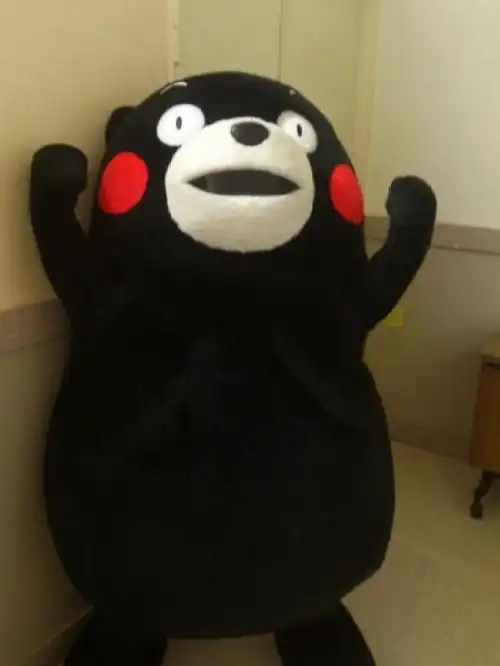 熊本熊 kuma mon mono 部长 萌萌的 熊本县 吉祥物 黑熊 呆萌 日本