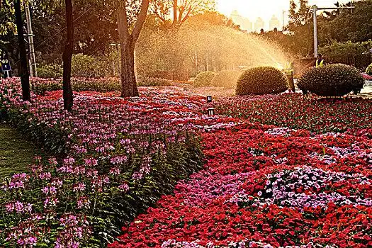 二沙岛传祺公园