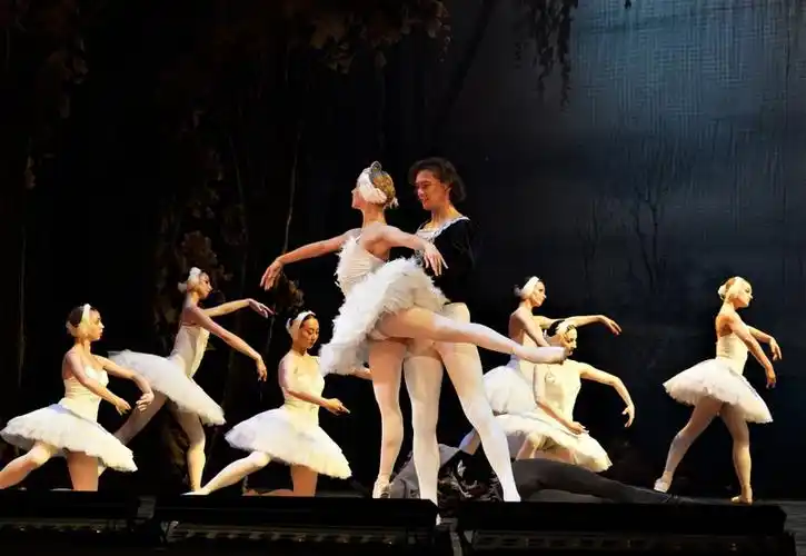 二,耳熟能详的四小天鹅