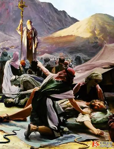 尼罗河记忆6: 到埃及去找光的影子(红海与摩西)