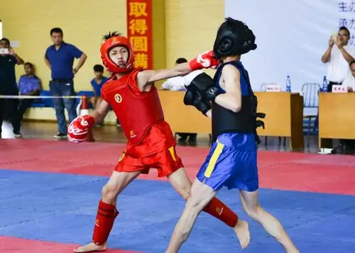 湖南省武术散打及自由搏击大赛在湖南司法警官职业学院举行