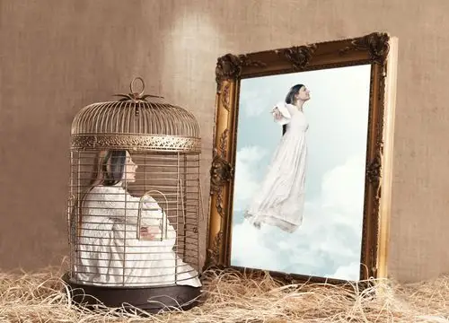 找一张把美女困在鸟笼的图片