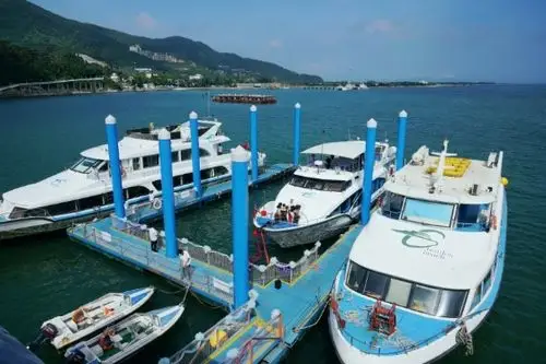游船观光码头已全面复工,"盐田—南澳"海上交通航线和"海上看盐田"