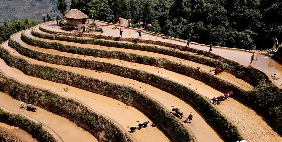 4月28日元阳县在攀枝花乡螺蛳田梯田举行开秧门仪式
