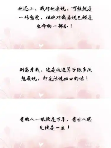 蜜汁炖鱿鱼超甜摘录