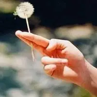 手指头像图片大全唯美图片_微信头像图片大全