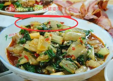 广州猪婆菜的功效和作用 猪婆菜的营养价值有哪些插图3