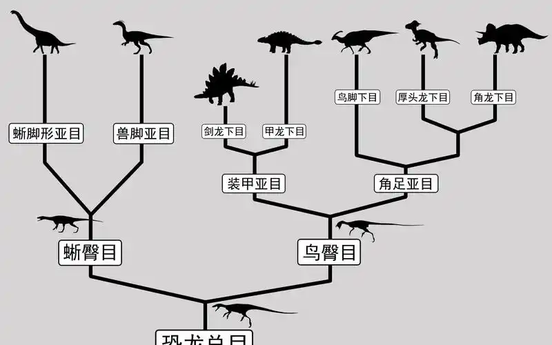 侏罗纪世界2中的恐龙家谱-恐龙分类与进化入门