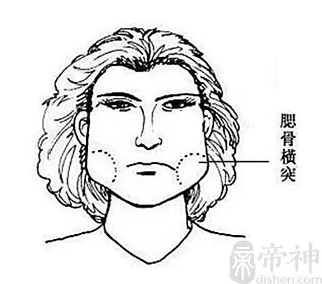 从侧面看腮骨高高很尖,并且向耳朵后面突出去,在面相学中来说,这种