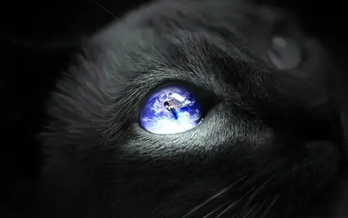 地球猫眼-创意设计宽屏壁纸