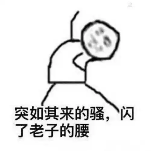 突如其来的骚,闪了老子的腰!_突如其来_老子表情