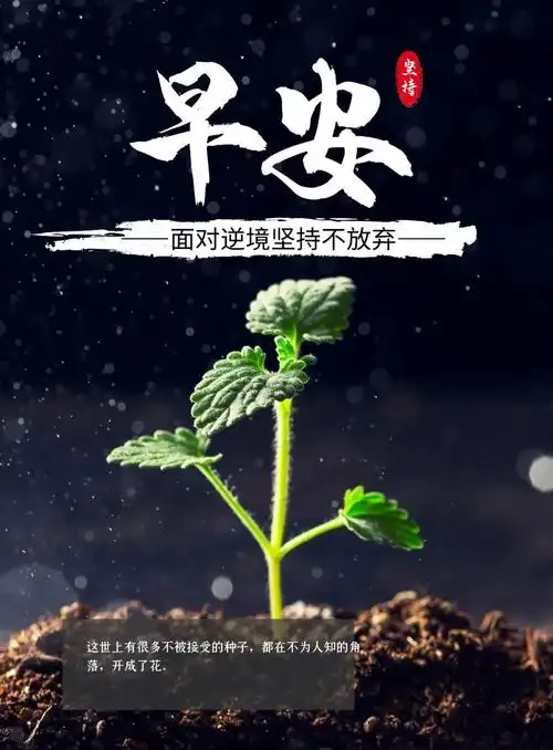 03.23」早安心语,正能量语录励志句子说说,早上好图片