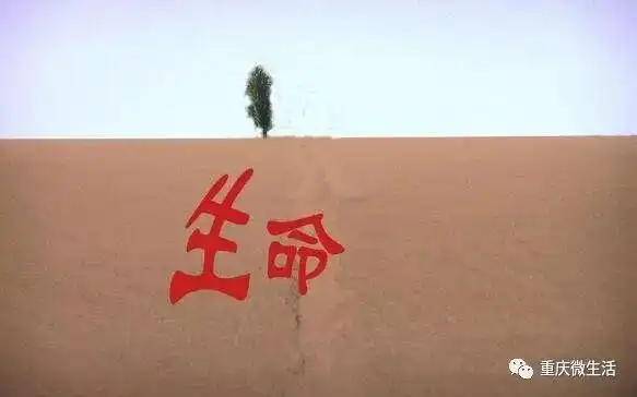 突发昨日深夜一年轻女子冒雨跳桥生命如此脆弱