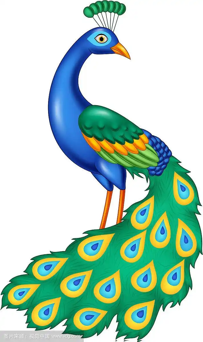卡通美丽的孔雀